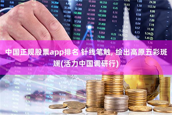中国正规股票app排名 针线笔触, 绘出高原五彩斑斓(活力中国调研行)