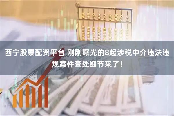 西宁股票配资平台 刚刚曝光的8起涉税中介违法违规案件查处细节来了！